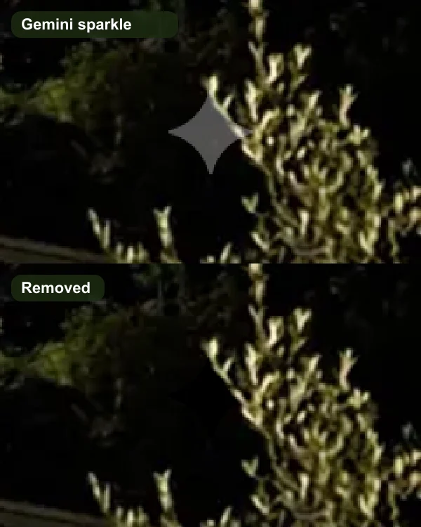 The corner of a night photo with Gemini's white sparkle on it, and the same corner with the sparkle removed