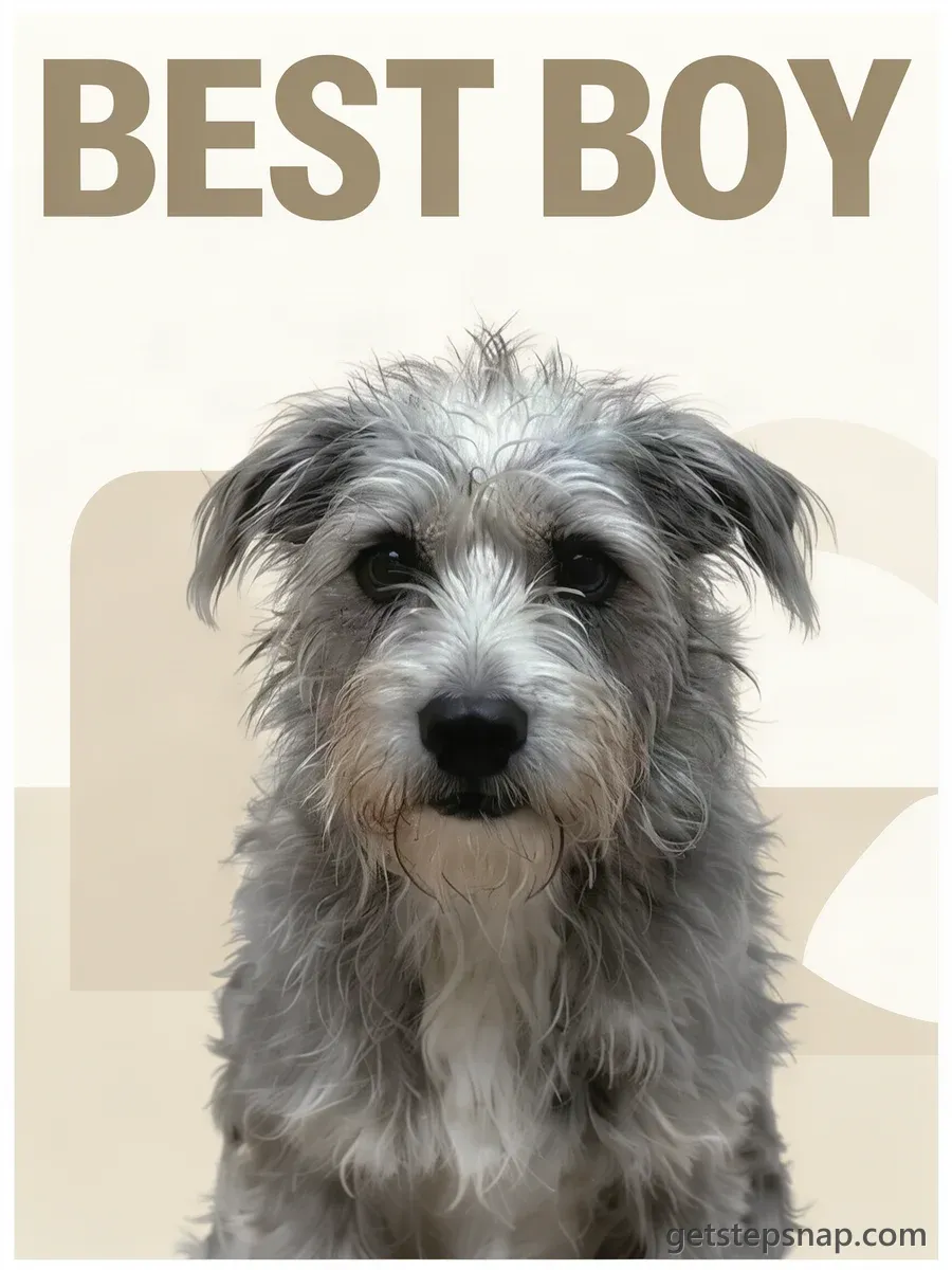 A poster of the same scruffy grey terrier under the headline BEST BOY