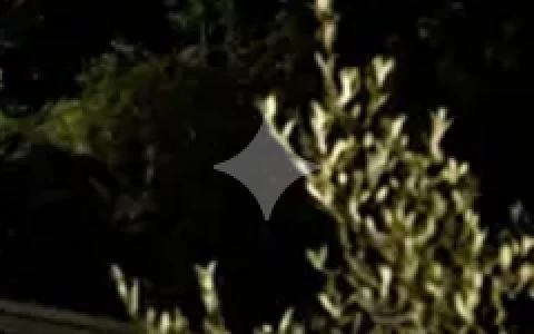 The bottom-right corner of a night photo with Gemini's white four-pointed star on it, enlarged