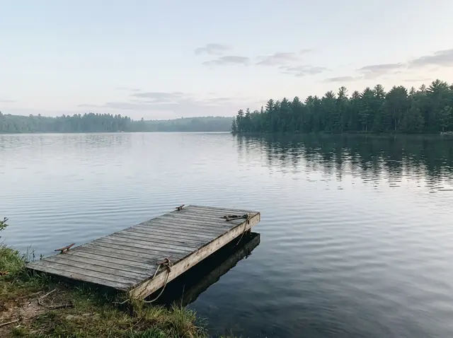 A phone photo of a calm lake in the morning with a wooden dock and pine trees on the far shore (made with the model)